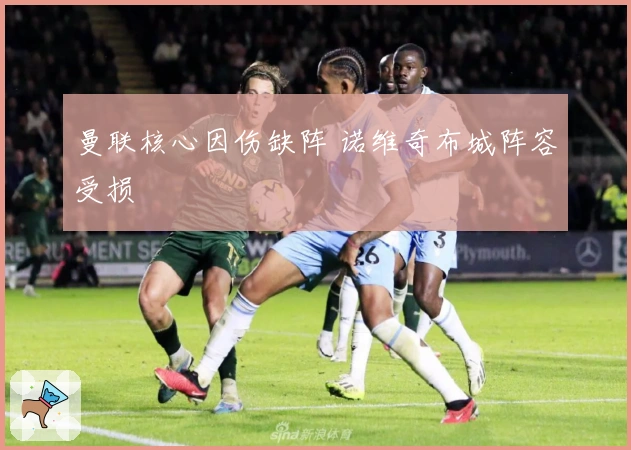 曼联核心因伤缺阵 诺维奇布城阵容受损