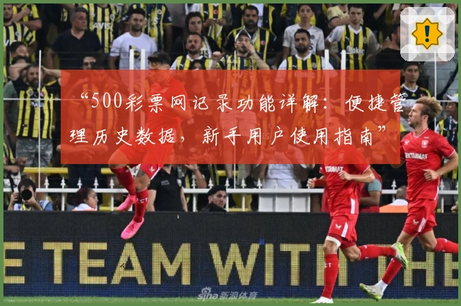 “500彩票网记录功能详解：便捷管理历史数据，新手用户使用指南”